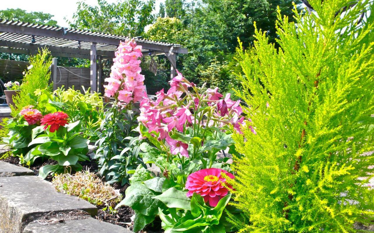 Acorn Guest House In Hull Kingston upon Hull Esterno foto